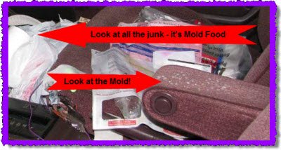 Mold or mould in car truck van or suv and trash for mold food